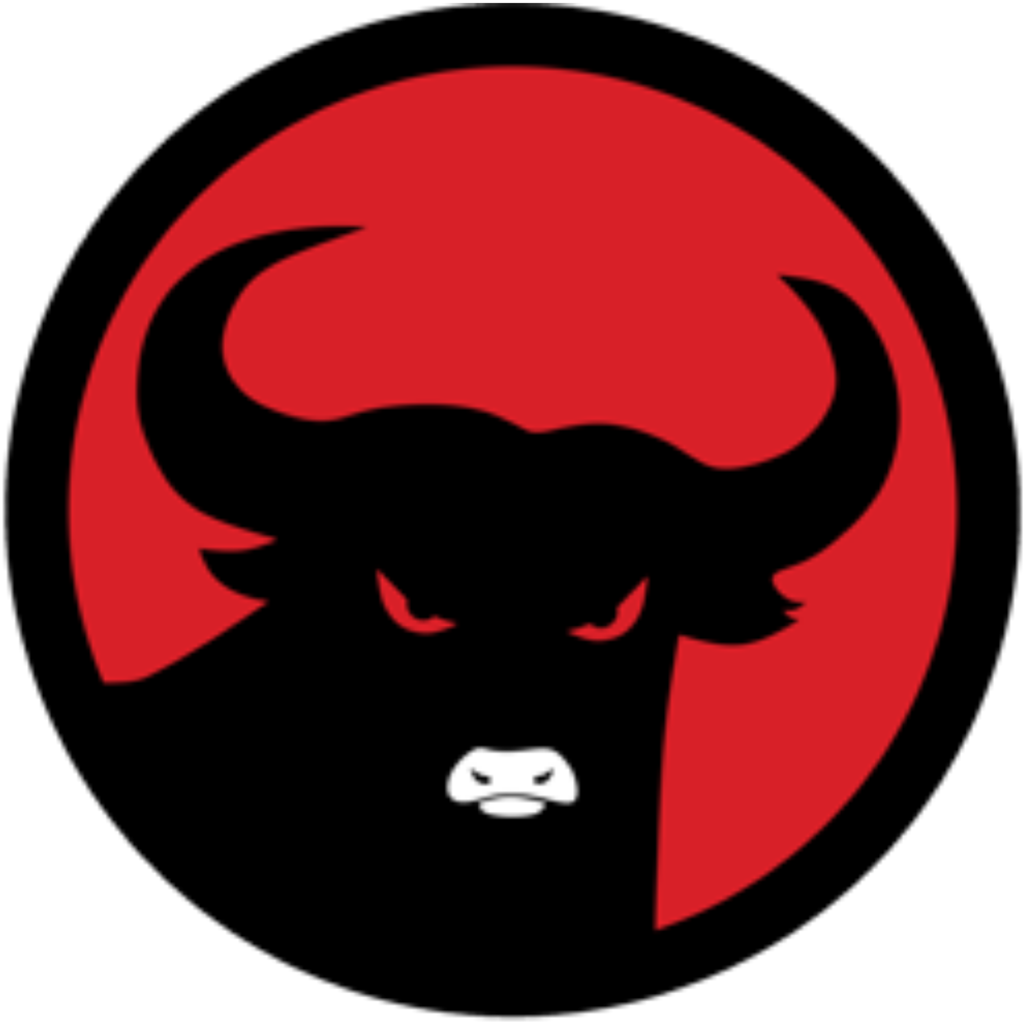 Logo PDI Perjuangan